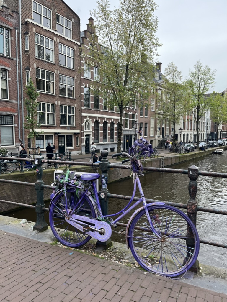 Keukenhof a skanzen Zaanse Schans - Obrázek 3