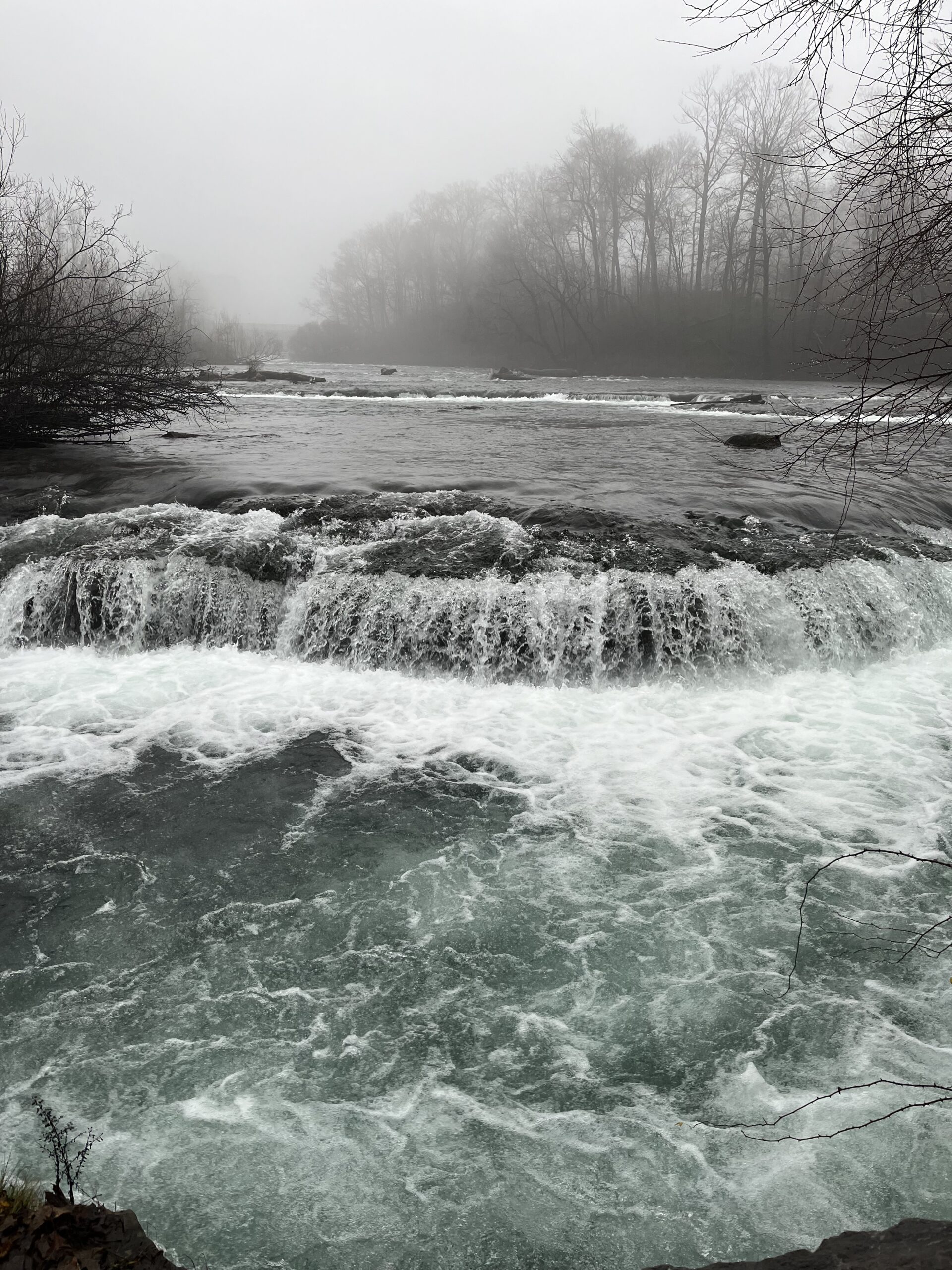 Silvestr v Kanadě - Obrázek 5