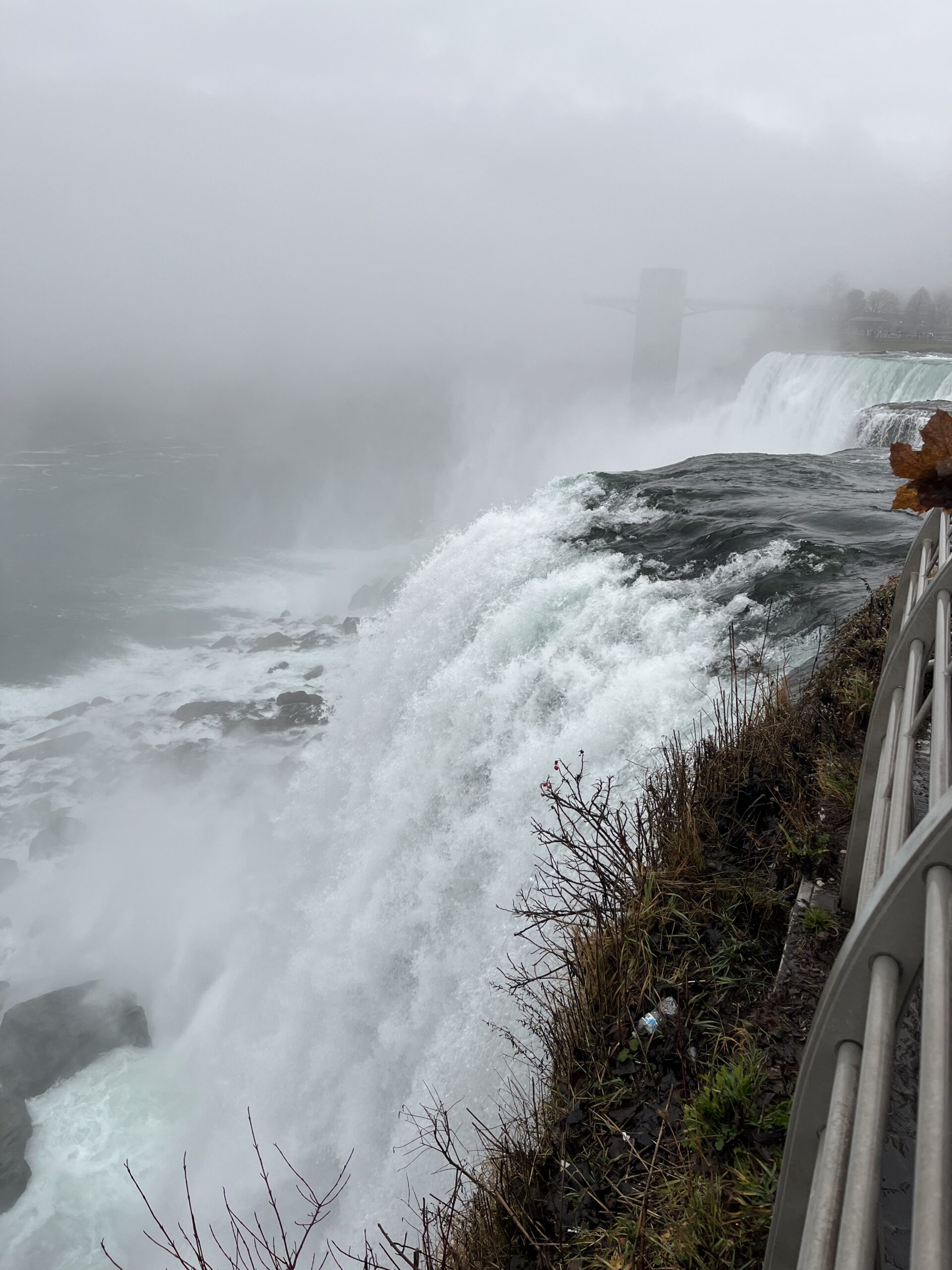 Silvestr v Kanadě - Obrázek 4