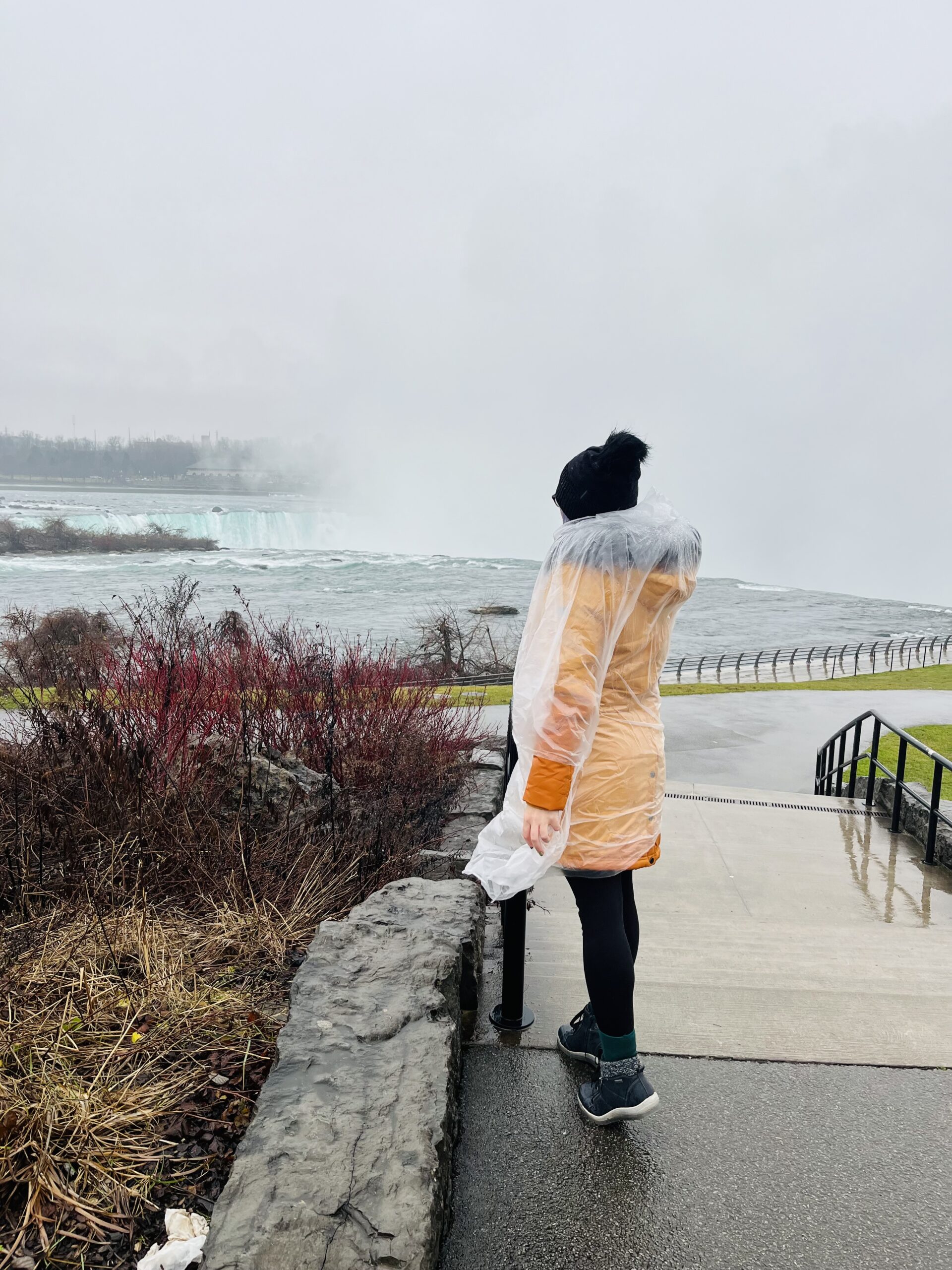 Silvestr v Kanadě - Obrázek 2